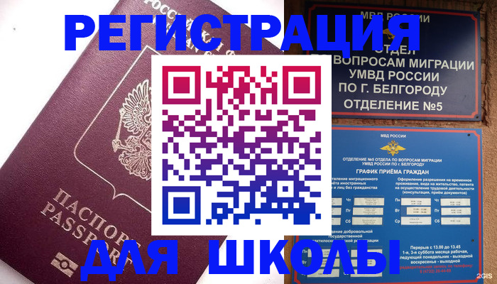 прописка законно в Апатитах